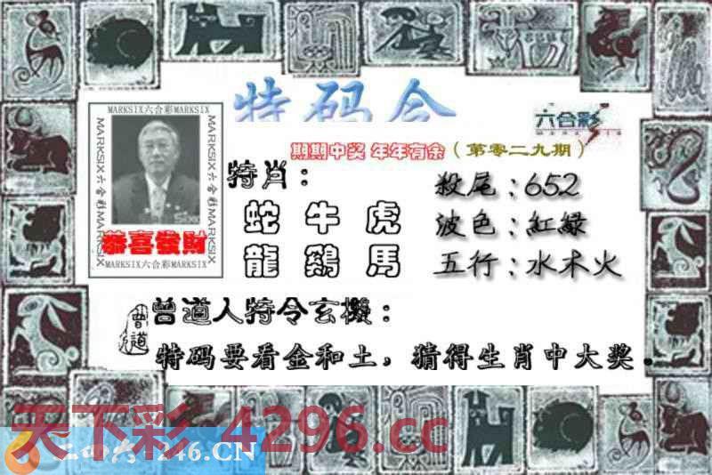 ：特准特码令